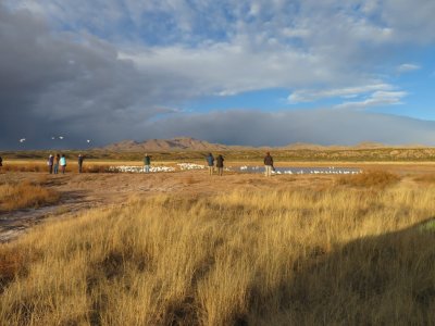 The line-up of photographers had already begun by the time we arrived at a small pond north of the cranes' roost.