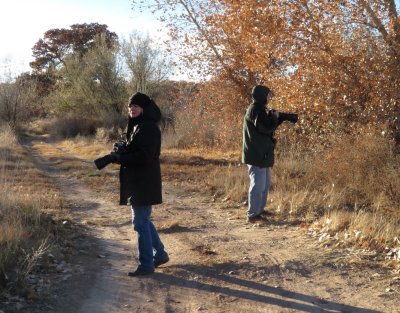 Jan and Steve looked for a subject.