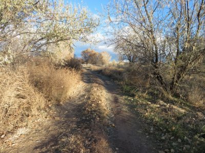 A (picturesque) road not taken (by us)