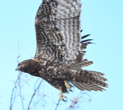 DSC_4566b.jpg