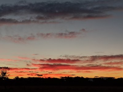 We got to the Sandhill Crane roost before the sun showed itself.