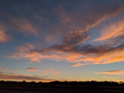 IMG_20181201_064829b.jpg