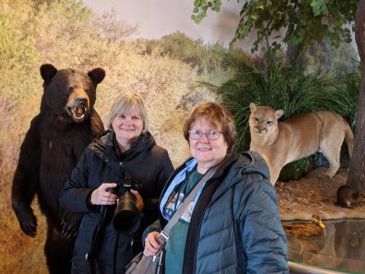 Bear, Jan, Mary, Puma