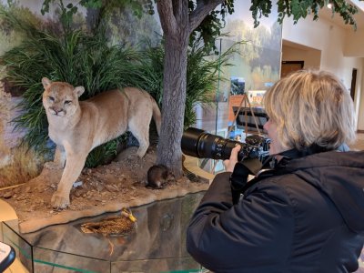 Jan shoots the puma.