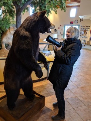 Jan gets too close to the bear.