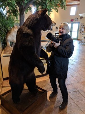 Jan and the bear