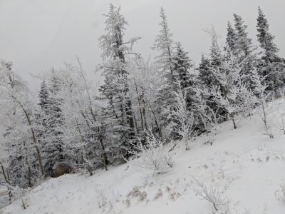 Someone was tilting the camera for this one; the road wasn't that steep.