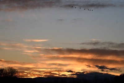 DSC_5044b.jpg