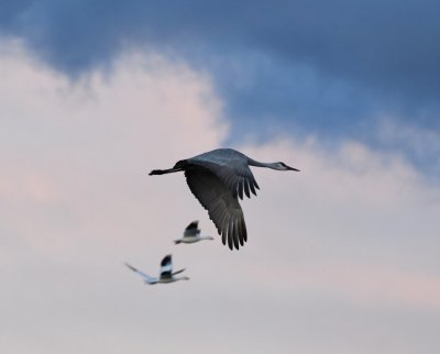 DSC_5057b.jpg