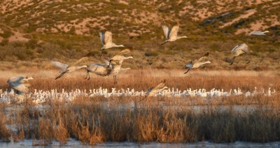 DSC_5197b.jpg
