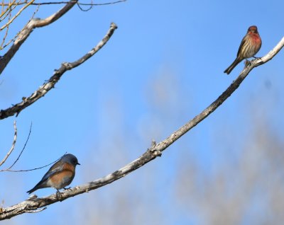 DSC_5780b.jpg