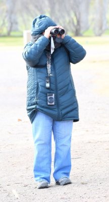 Mary spies a bird