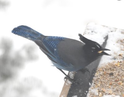 DSC_5860b.jpg