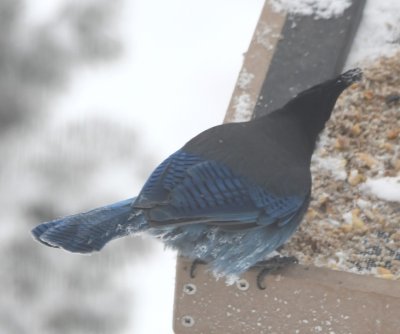 DSC_5866b.jpg