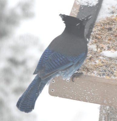 DSC_5867b.jpg