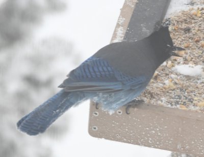 DSC_5868b.jpg