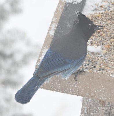 DSC_5872b.jpg