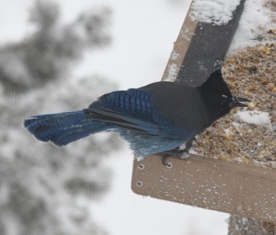 DSC_5880b.jpg