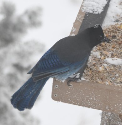 DSC_5882b.jpg