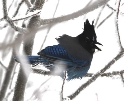 DSC_5888b.jpg