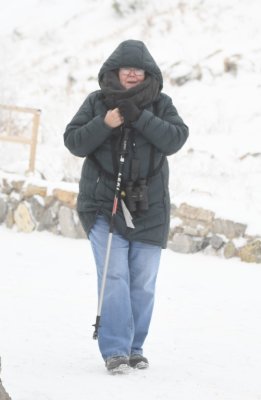 The rosy finches didn't show, so we headed back to the car; Mary was bundled against the wind and snow.