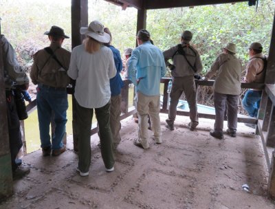 David, Patricia, Patty (behind), Allan, Lelis, Carolyn, local guide at the observation deck looking for the Jet Antbirds