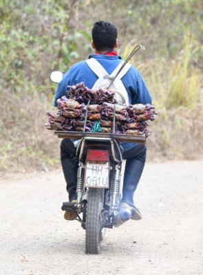 Crab fisherman with his tools on his back