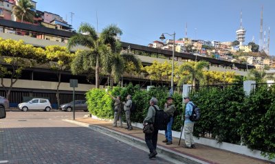 Some of the group had gotten out after breakfast to look for birds along the hotel.