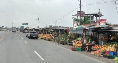 As we drove into the suburbs, we passed many roadside markets and foodstands.