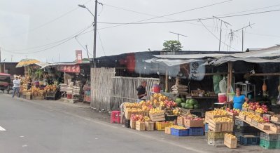 Roadside market outside Guayaquil, EC