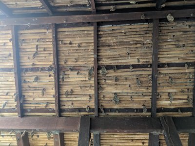 The ceiling of the observation deck was covered with wasp nests.