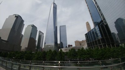 rps20170531_003622.jpg