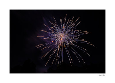 5D22017-0106.jpg
