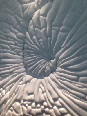 Elephant detail