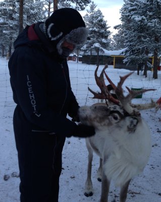 A trip to visit reindeer