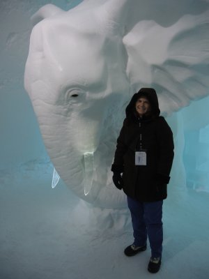 Our own life-sized African elephant!