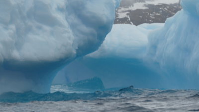 Iceberg beauty