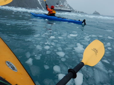 Kayaking at Elephant Island!!