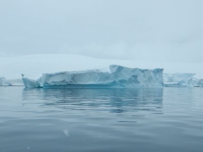 Iceberg