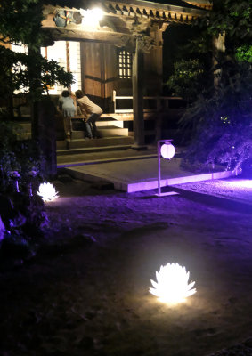 obon_illuminations