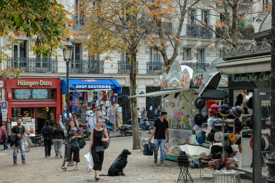 _DSF09622.jpg
