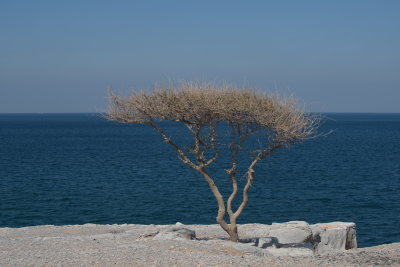 _FS20956.jpg