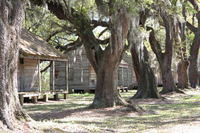 Slave Cabins at Evergreen Plantation - Ghosts of the Past