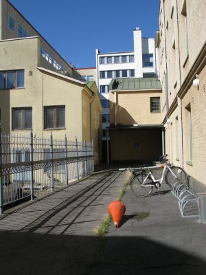 Inner yard 