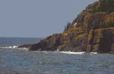 Acadia Nationa Park-Shore Line