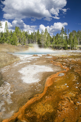 Colours of Yellowstone