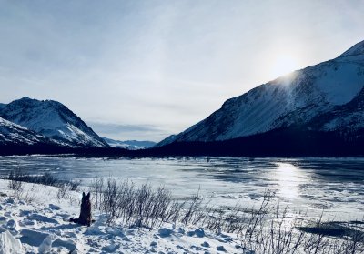 Driving Back From Fairbanks March 2-2018