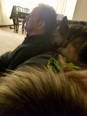 Katie Watching TV With Me as a new rescue