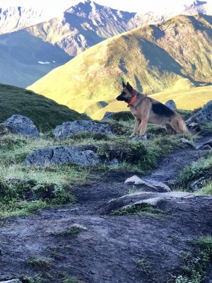 Hatcher Pass August 2018