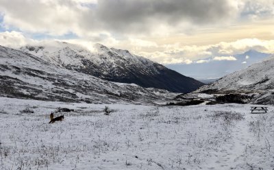 Hatcher Pass March